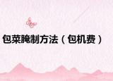 包菜腌制方法（包机费）