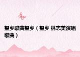 望乡歌曲望乡（望乡 林志美演唱歌曲）