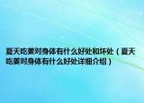 夏天吃姜对身体有什么好处和坏处（夏天吃姜对身体有什么好处详细介绍）