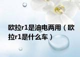 欧拉r1是油电两用（欧拉r1是什么车）