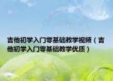 吉他初学入门零基础教学视频（吉他初学入门零基础教学优质）