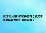 武汉北大高科技软件公司（武汉北大高科软件股份有限公司）