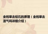 金钱草去结石的原理（金钱草去湿气吗详细介绍）