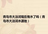 青岛市大沽河现在有水了吗（青岛市大沽河水源地）