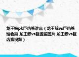 龙王鲸pk巨齿鲨谁赢（龙王鲸vs巨齿鲨谁会赢 龙王鲸vs巨齿鲨图片 龙王鲸vs巨齿鲨视频）
