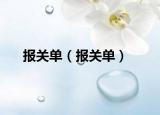 报关单（报关单）