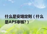 什么是安培定则（什么是APS审核?）