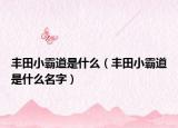 丰田小霸道是什么（丰田小霸道是什么名字）