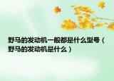 野马的发动机一般都是什么型号（野马的发动机是什么）