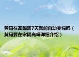 黄码在家隔离7天就能自动变绿吗（黄码要在家隔离吗详细介绍）