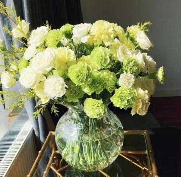 不同颜色康乃馨花语含义，11种颜色康乃馨花语(温馨的祝福)