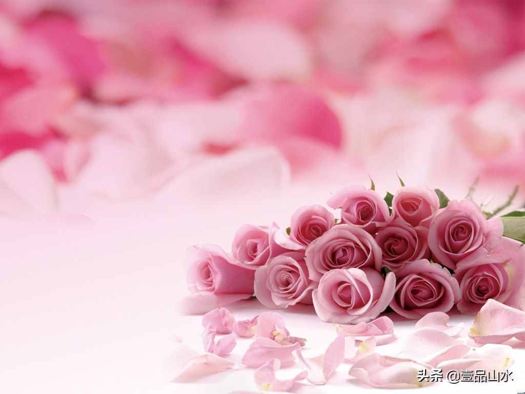 致女神们——愿你芳华自在，笑靥如花