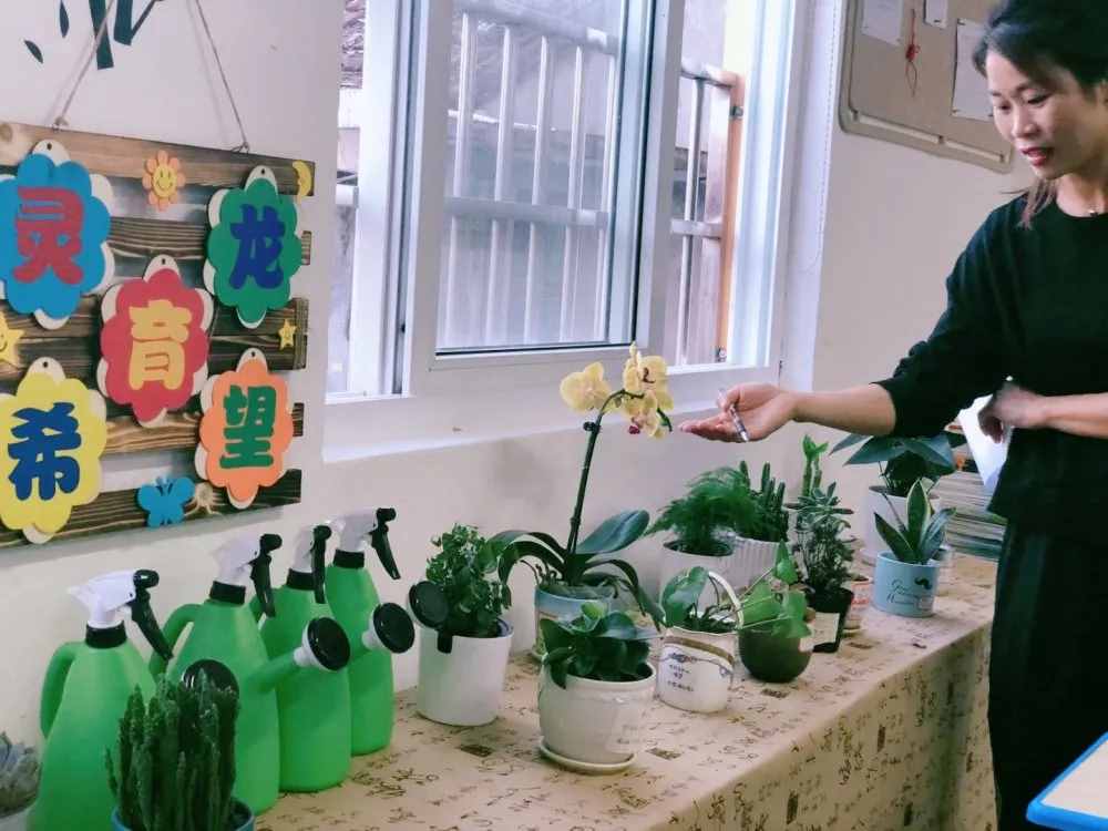 「龙小简讯」温馨的教室布置，别样的班级文化（一）