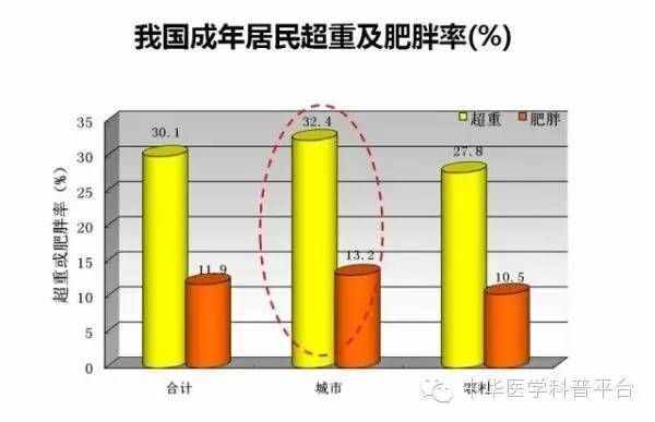 今天，我们来聊一聊三围