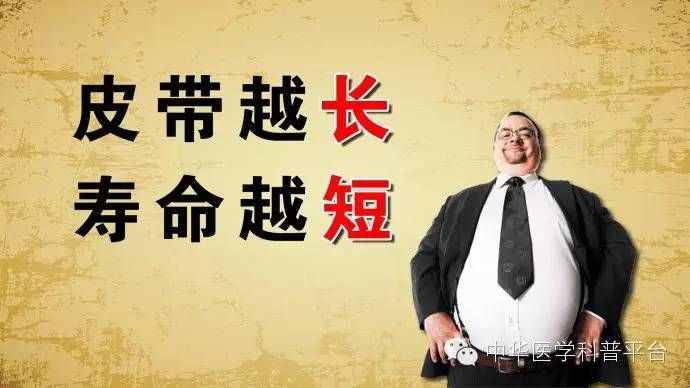 今天，我们来聊一聊三围