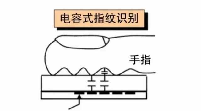 一文看懂三大指纹识别原理 光学屏幕指纹强在哪？
