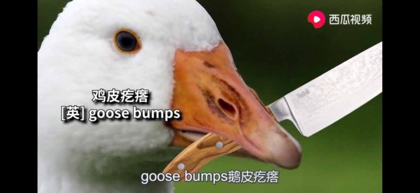 这么多年，原来“尿”一直都念错了，今天就来触及你的知识盲区