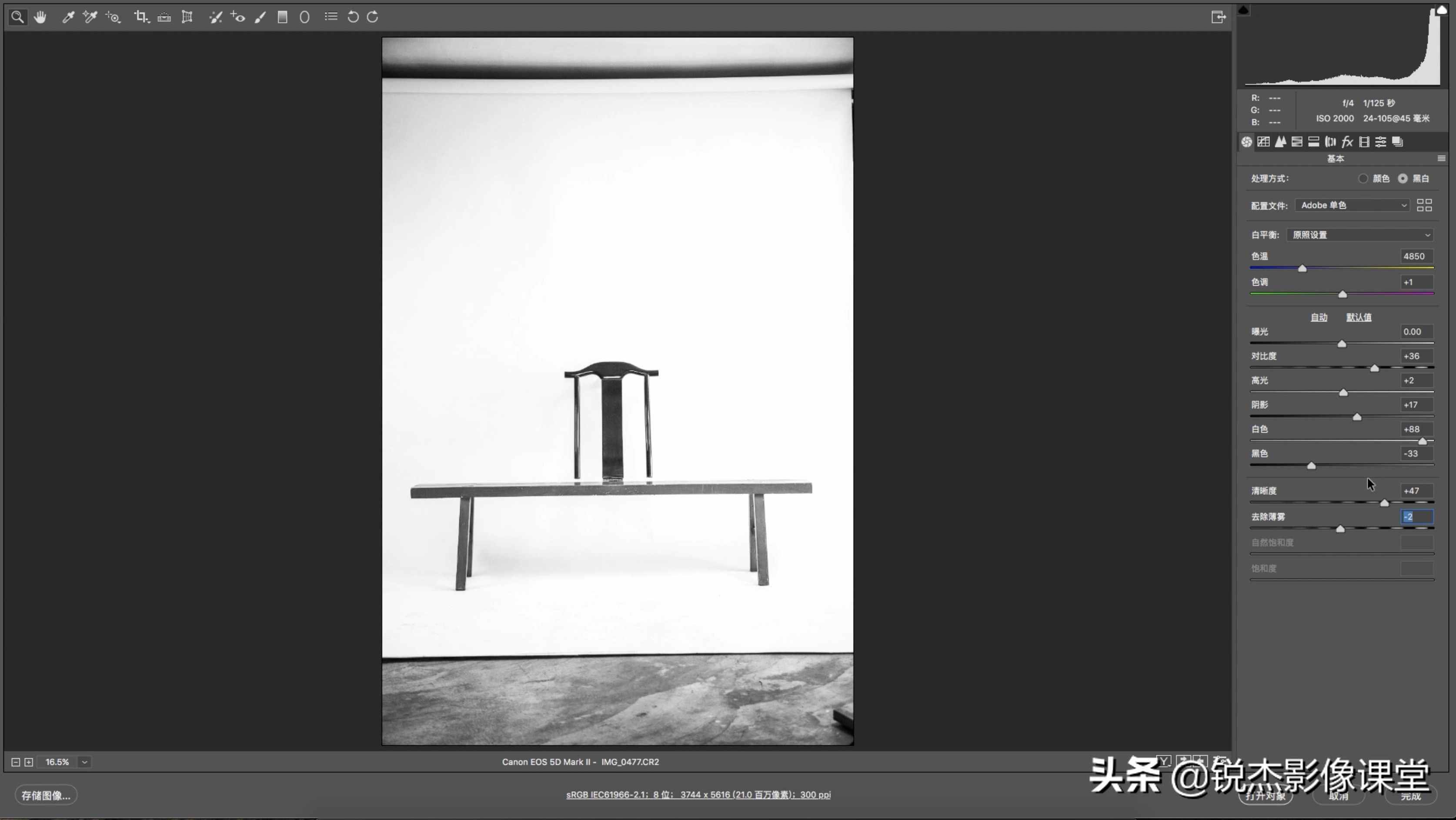 如何从零开始学习制作一张创意照片