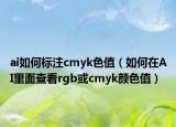 ai如何标注cmyk色值（如何在AI里面查看rgb或cmyk颜色值）