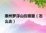 惠州罗浮山在哪里（怎么去）