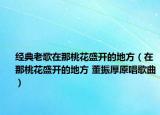 经典老歌在那桃花盛开的地方（在那桃花盛开的地方 董振厚原唱歌曲）
