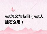 vst怎么加节目（vst人挂怎么用）