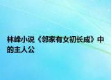 林峰小说《邻家有女初长成》中的主人公