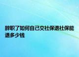 辞职了如何自己交社保退社保能退多少钱