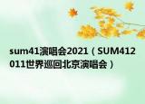 sum41演唱会2021（SUM412011世界巡回北京演唱会）