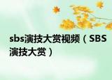 sbs演技大赏视频（SBS演技大赏）