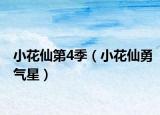 小花仙第4季（小花仙勇气星）