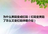 为什么黄码变成红码（红码变黄码了怎么又变红码详细介绍）