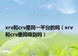 xrv和crv是同一平台的吗（xrv和crv是同级别吗）