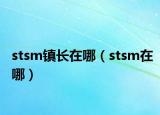 stsm镇长在哪（stsm在哪）