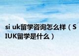si uk留学咨询怎么样（SIUK留学是什么）