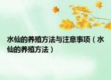 水仙的养殖方法与注意事项（水仙的养殖方法）