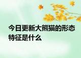 今日更新大熊猫的形态特征是什么