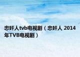 忠奸人tvb电视剧（忠奸人 2014年TVB电视剧）