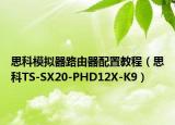 思科模拟器路由器配置教程（思科TS-SX20-PHD12X-K9）