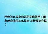 闲鱼怎么提高自己的芝麻信用（闲鱼芝麻信用怎么提高 怎样提高介绍）