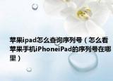苹果ipad怎么查询序列号（怎么看苹果手机iPhoneiPad的序列号在哪里）