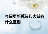 今日更新藠头和大蒜有什么区别