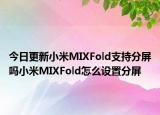 今日更新小米MIXFold支持分屏吗小米MIXFold怎么设置分屏
