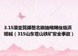 3.15灞变笢鑻嶅北鐭抽棬閾佺熆浜嬫晠（315山东苍山铁矿安全事故）