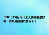 DNF（45级 用什么人偶刷图最好啊   请知道的朋友告诉下）