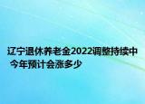 辽宁退休养老金2022调整持续中 今年预计会涨多少