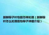 新鲜粽子叶包前怎样处理（新鲜粽叶怎么处理后包粽子详细介绍）