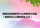 数据包需要携带什么参数进行传输（数据包怎么用数据包上传）