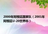 2000年阿根廷国家队（2001年阿根廷U-20世界杯）