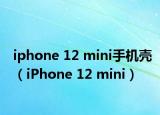 iphone 12 mini手机壳（iPhone 12 mini）